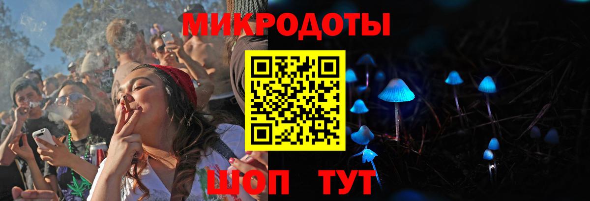 дарнет шоп  Псилоцибиновые грибы GOLDEN TEACHER  Вход с VPN  Минусинск 